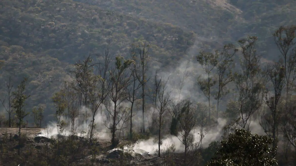 Incendios en Michoacán 8